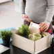 Can You Claim Unemployment Benefits During Pregnancy (or After Giving Birth)? Here’s What to Know